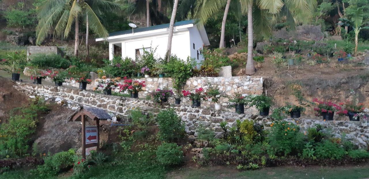 Coco Cabana Romblon Agpanabat 外观 照片