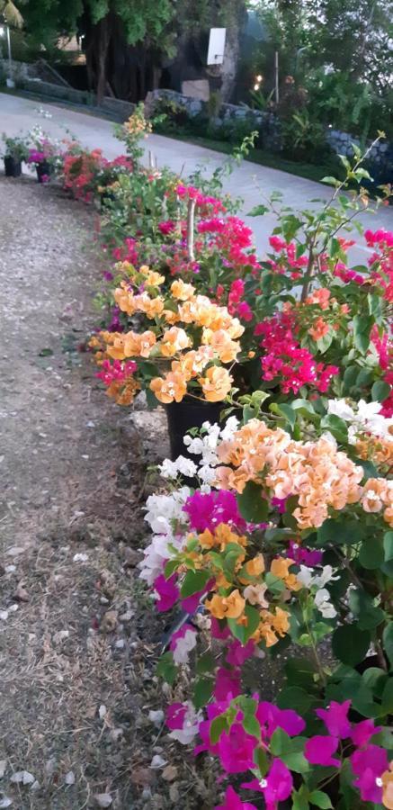 Coco Cabana Romblon Agpanabat 外观 照片